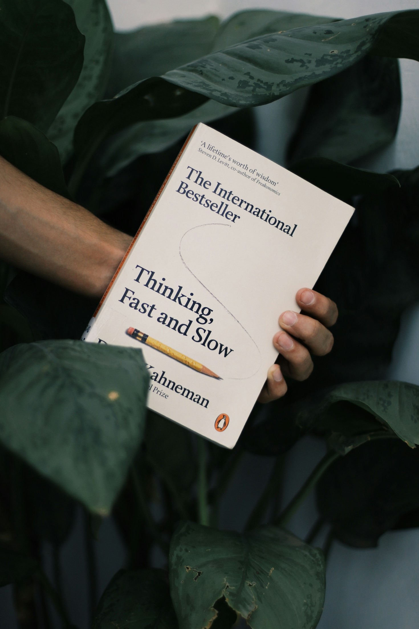 How Evidence-Based Solutions Improve Personal Growth